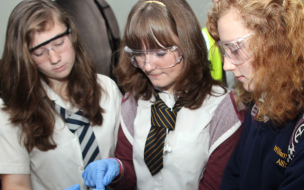 Students see Chemistry at Work